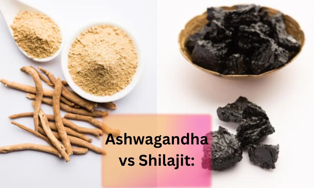 Shilajit vs Ashwagandha: Best for Energy & Immunity Australia