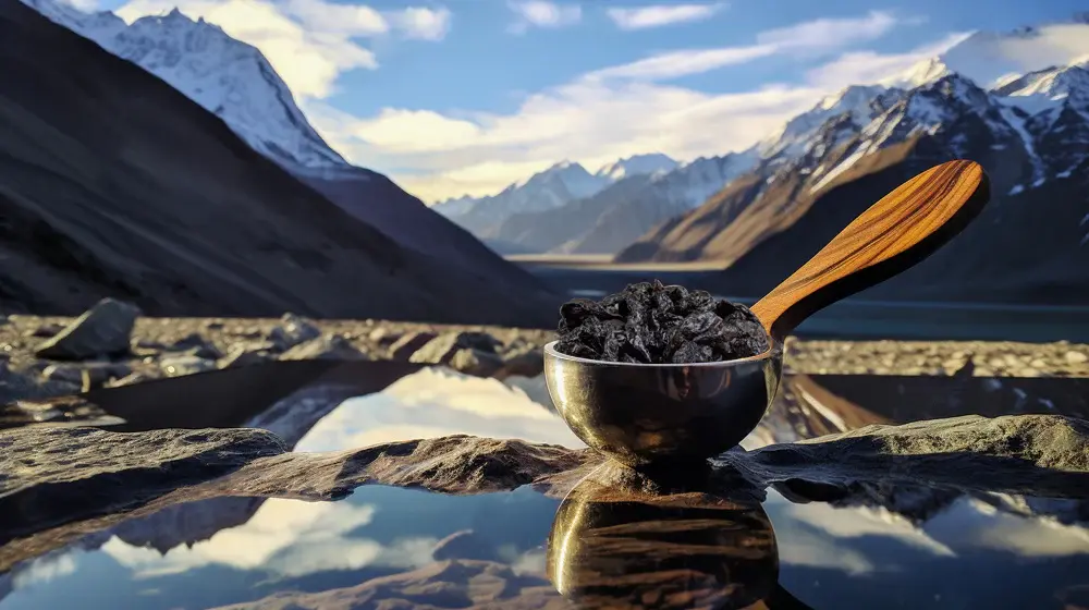 Himalayan Shilajit Australia