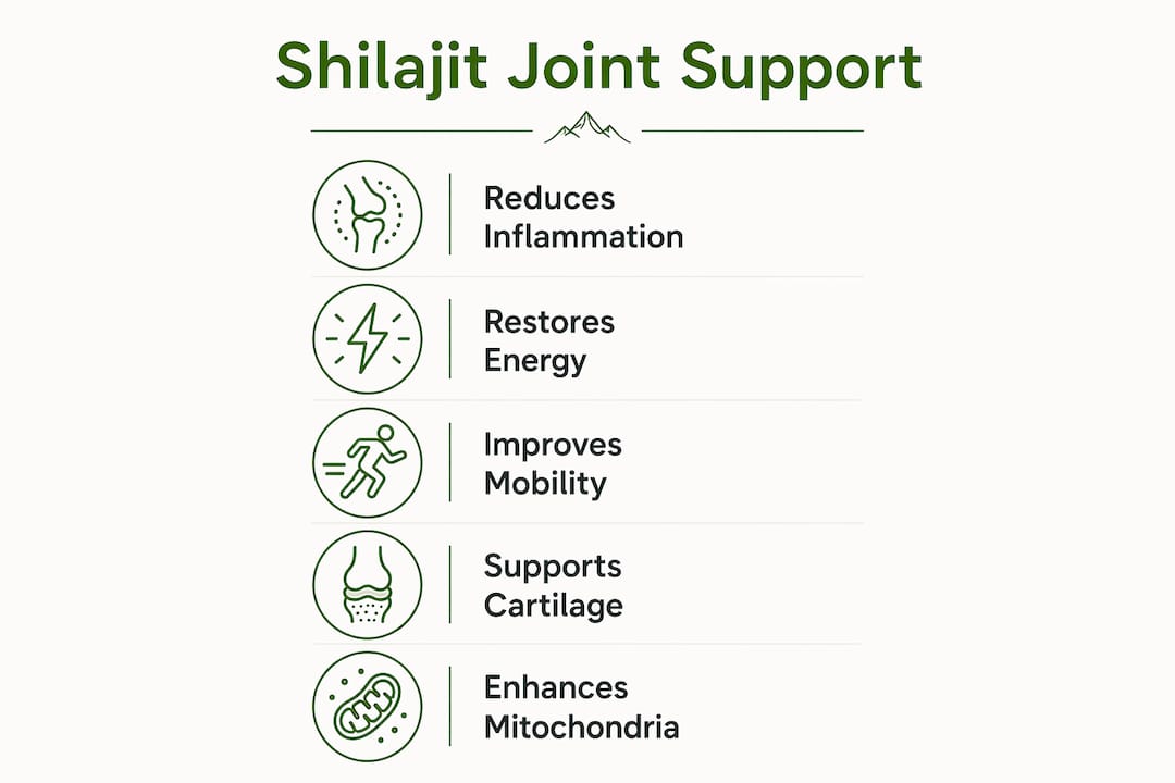 Infographic showing shilajit benefits for dog joints
