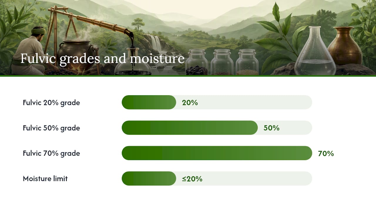 Diagram of key lab tests for Shilajit quality