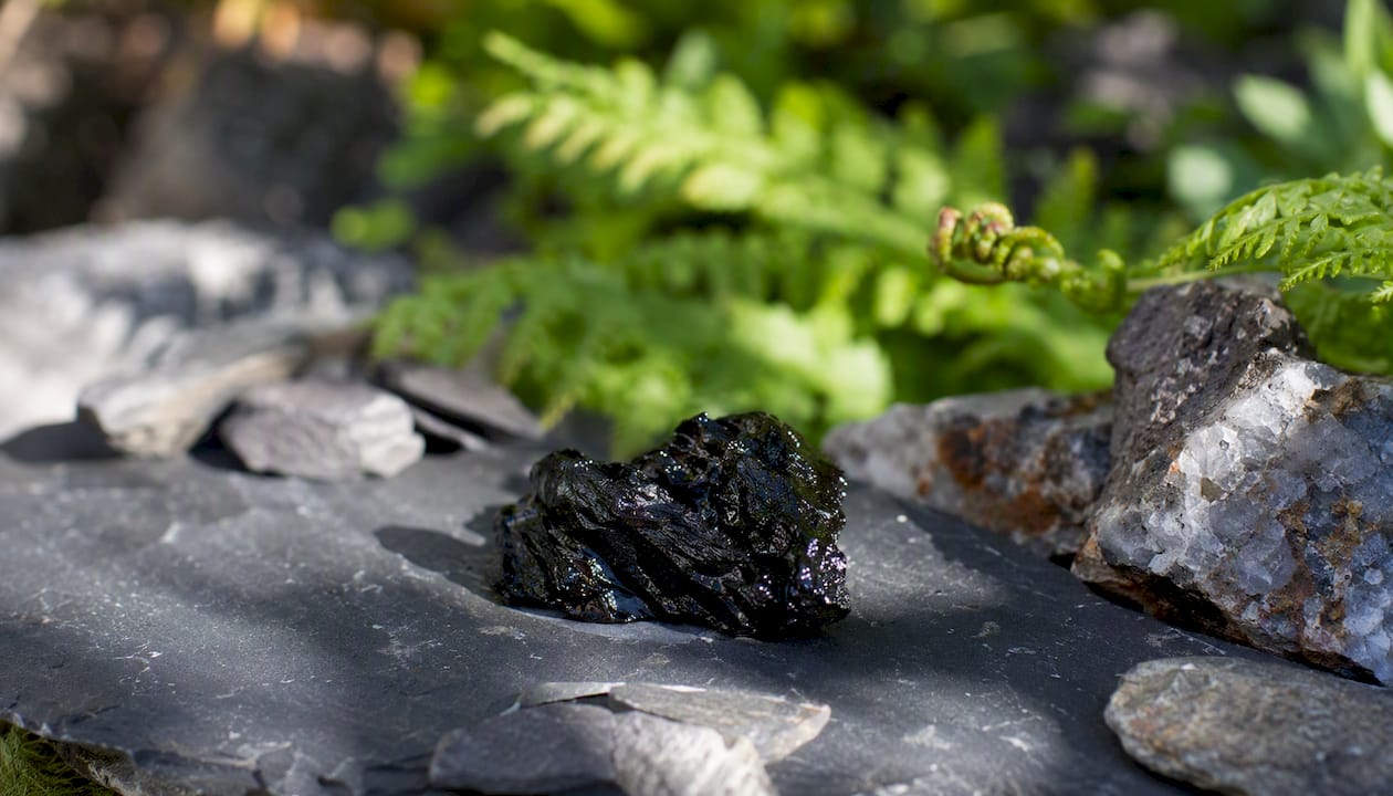 Close-up of Himalayan resin and moss