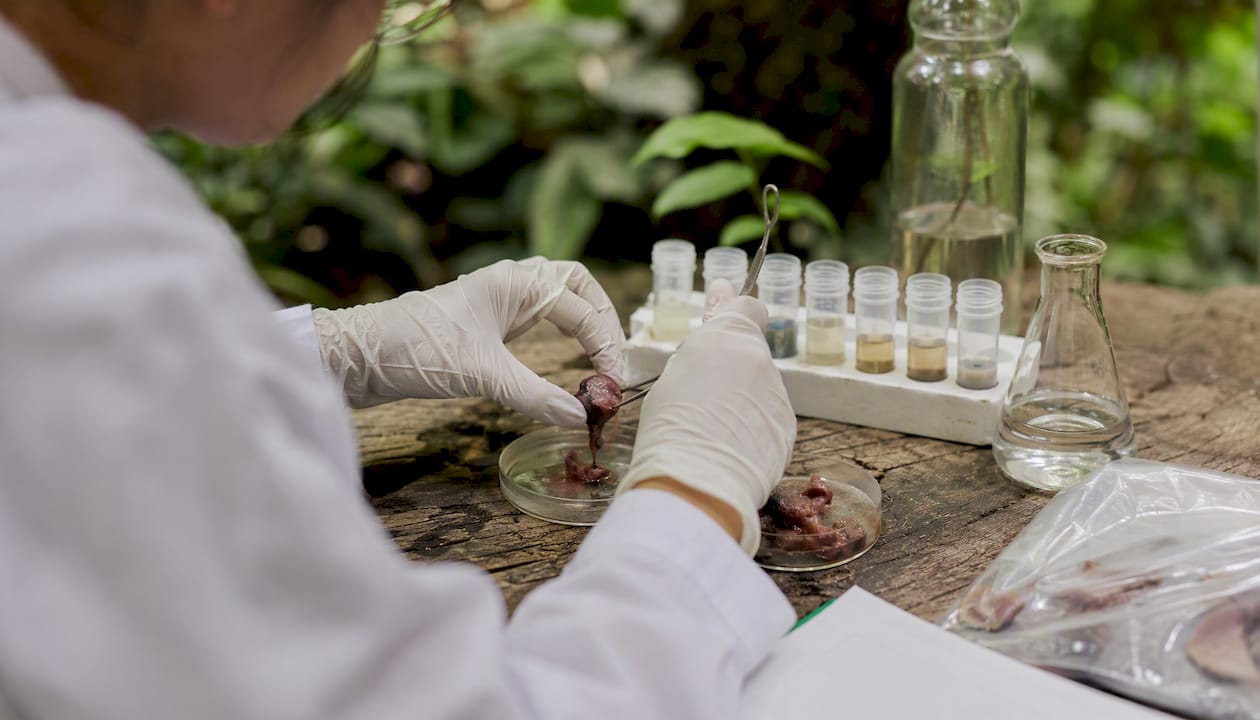 Scientist preparing antioxidant enzyme samples in lab