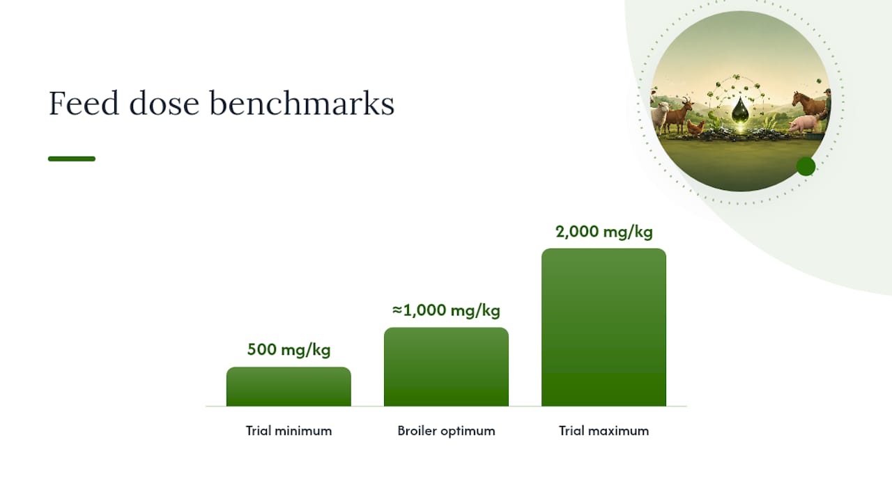 Diagram showing fulvic acid mechanisms and dosage impact in animals