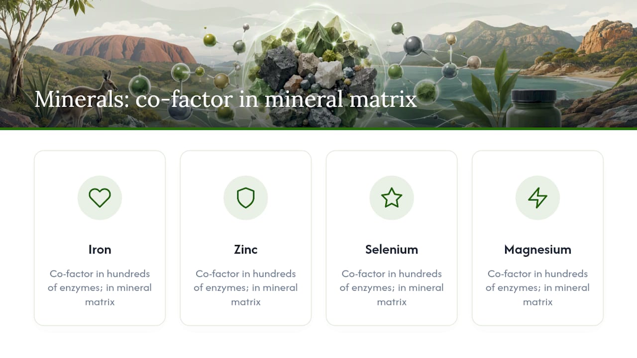 Trace mineral functions in earth-derived supplements