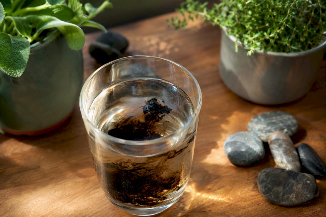 Shilajit resin dissolving in warm water in glass