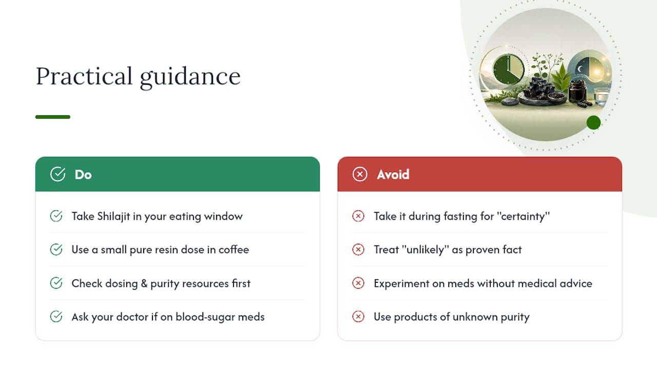 A Practical Take on Shilajit and Fasting — overview diagram