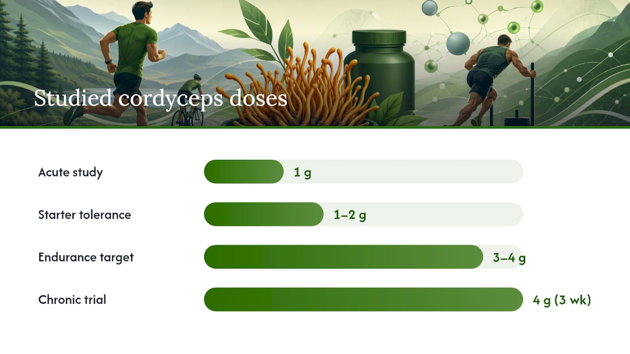 What Dose of Cordyceps Should You Actually Take? — overview diagram