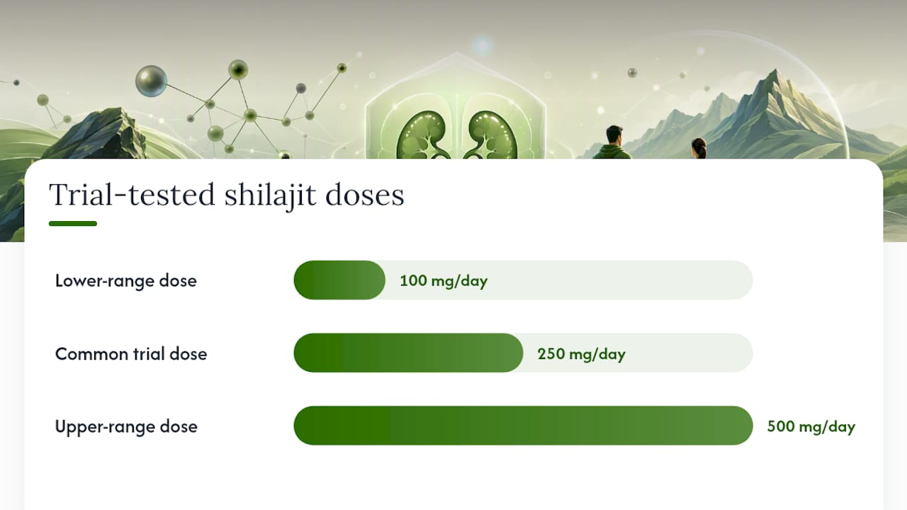 Shilajit Kidney Safety: What Human Trials Actually Measured — overview diagram