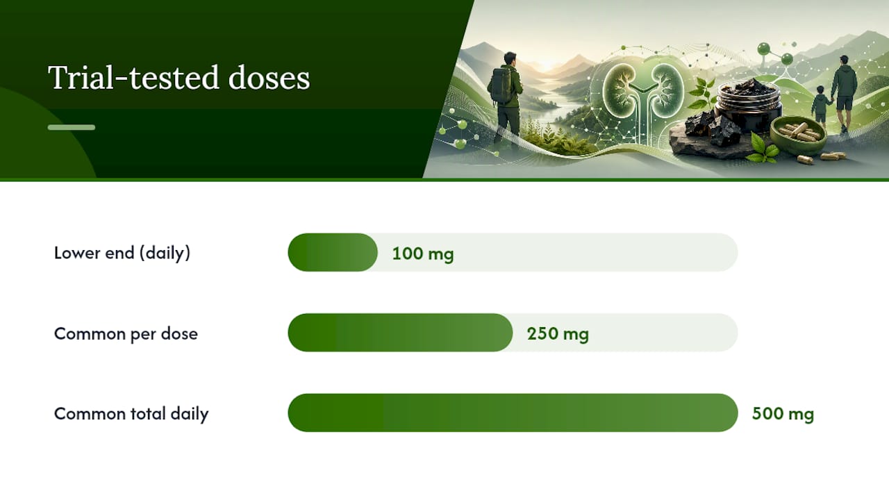 Safe Use: Dosing, Monitoring, and Warning Signs — overview diagram