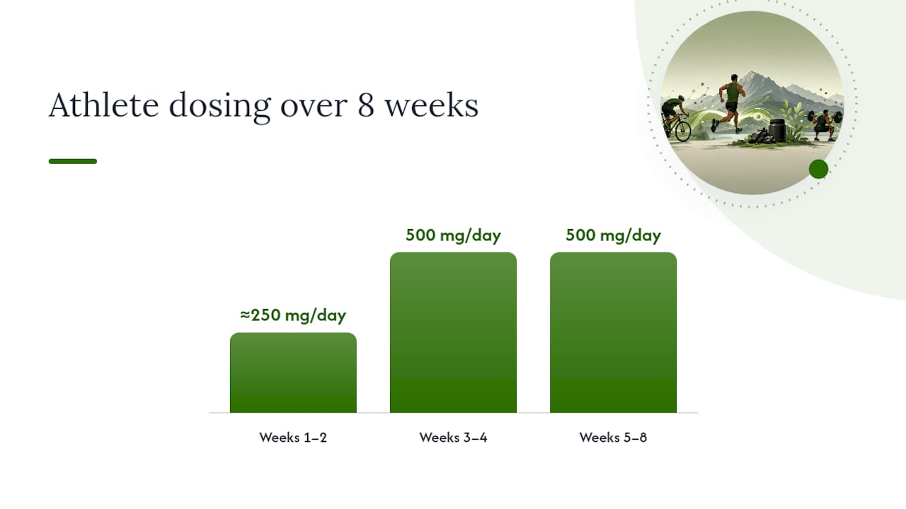 How Should Athletes Dose and Time Shilajit? — overview diagram