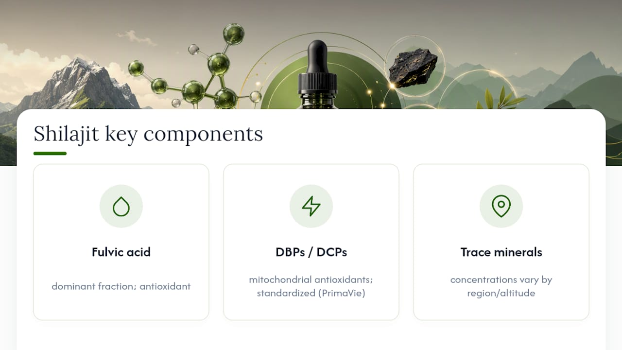 What's Actually Inside Shilajit and Why It Might Work — overview diagram
